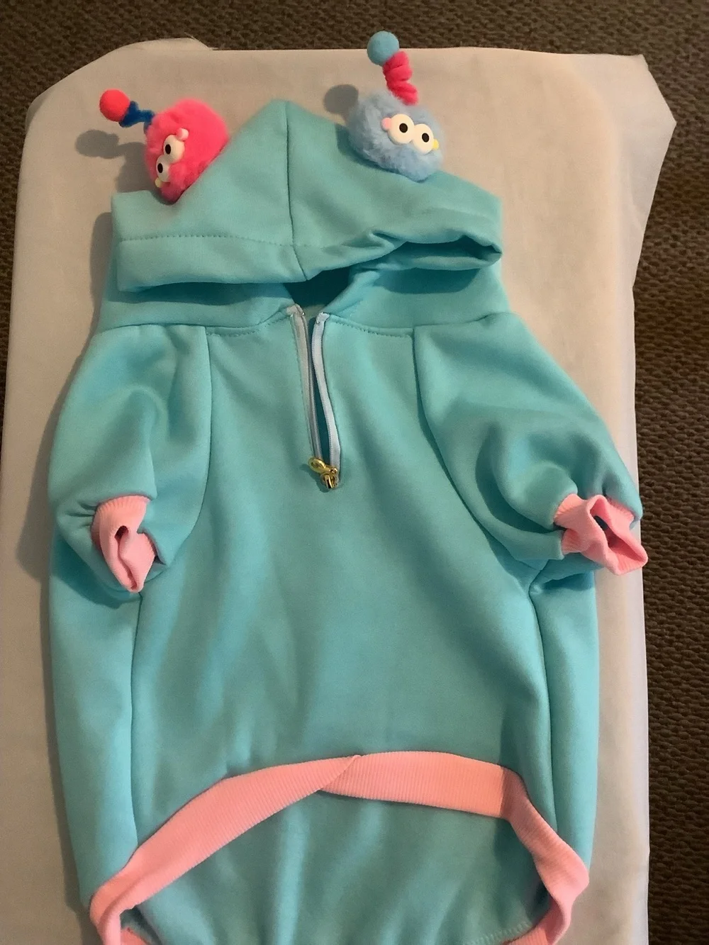Light Aqua Plush Hoodie - Large